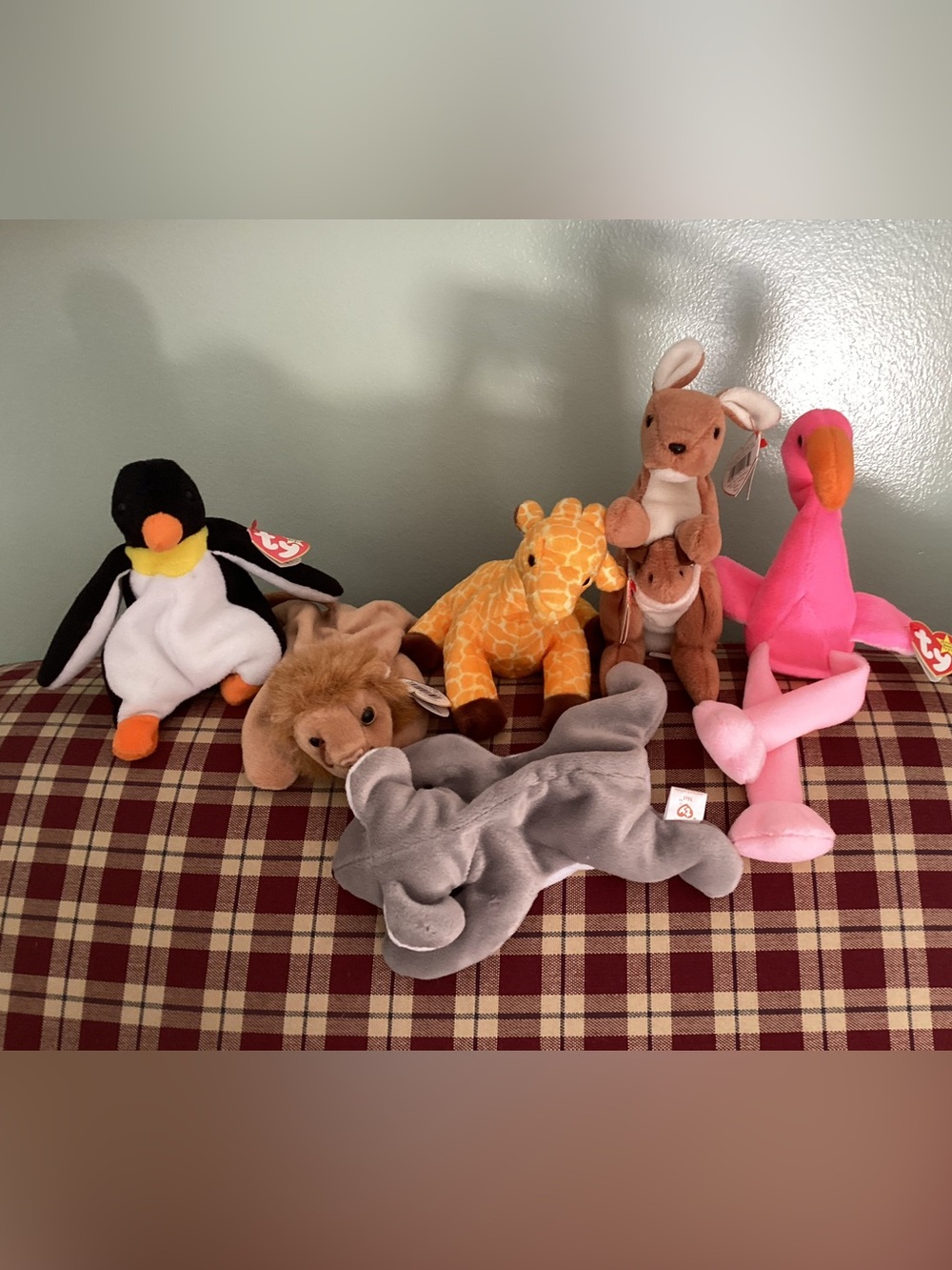 6 Ty Beanies themed Zoo